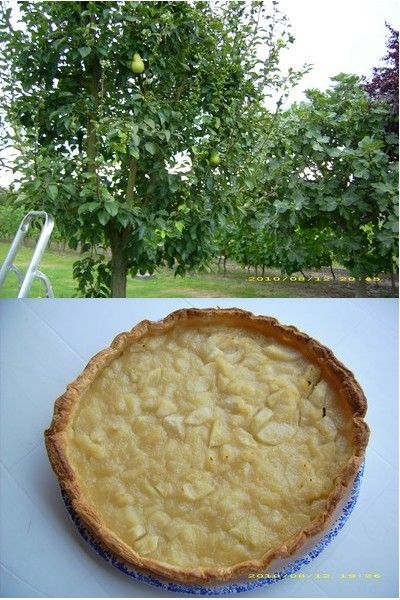 Tarte Aux Poires Du Jardin